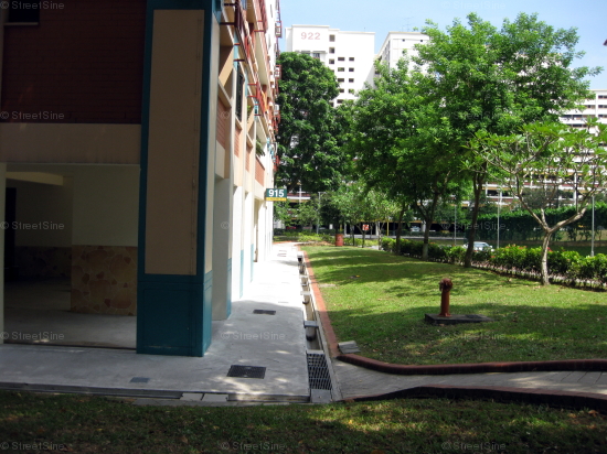Blk 915 Hougang Street 91 (Hougang), HDB 5 Rooms #249562